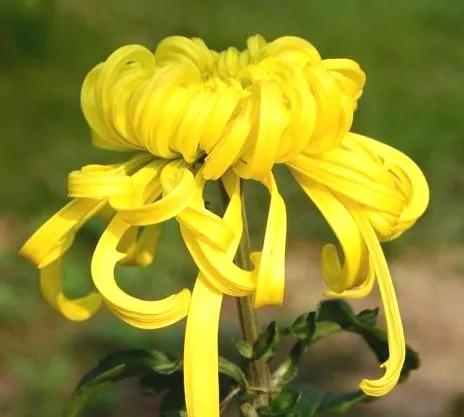 緬懷先烈，致敬偉人