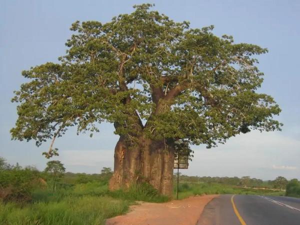 “安哥拉”現狀,帶你看看一個真實的非洲安哥拉 “安哥拉”現狀,帶你看看一個真實的非洲安哥拉