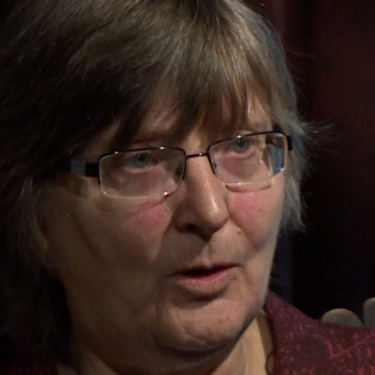 民主病了嗎?西方學者訪談錄 民主病了嗎?西方學者訪談錄