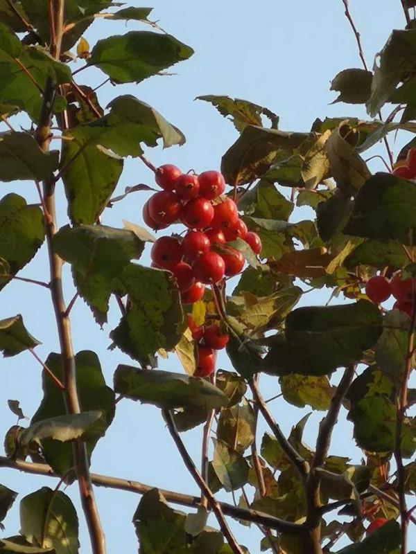 那些自律的、一直投資自己的人