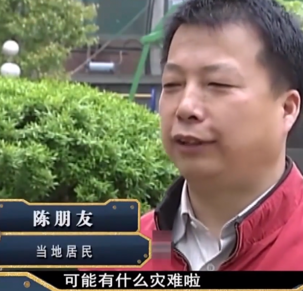 2009年，湖南20只相思鳥集體“自殺”，莫非鳥殉情的傳聞是真的？