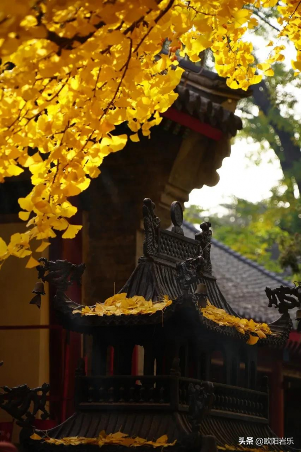 秋天的第一場旅行，你可以去這6個地方。一入秋，他們就變色了…