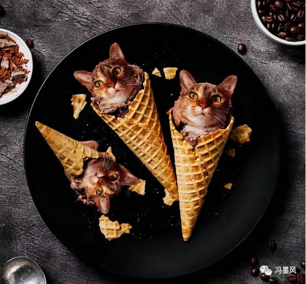 這樣的貓片，真下飯