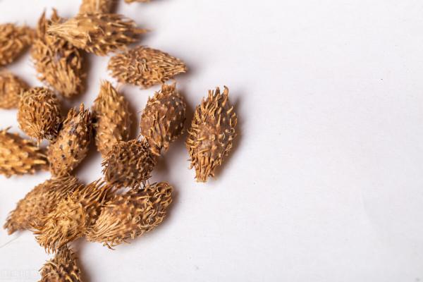 中醫：何首烏是&OpenCurlyDoubleQuote;肝臟殺手&rdquo;？中藥吃不對，小心肝損傷