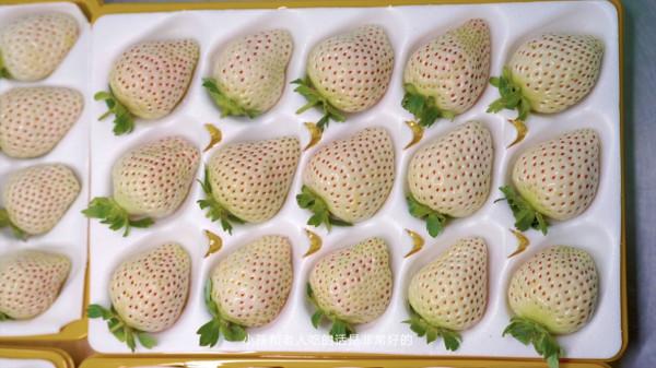 高山下的白草莓，一個海歸新農人的鄉村振興夢