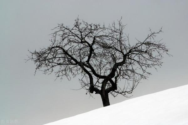 遠方的你，過得好嗎