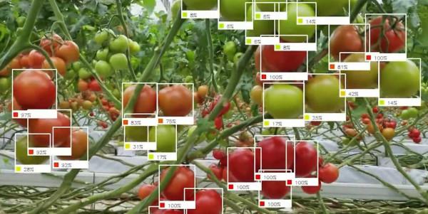 智慧農業的未來——5款人工智慧農業機器人 智慧農業的未來——5款人工智慧農業機器人