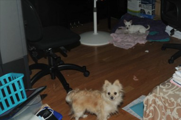 美國男子10年前遇害，法庭無視爭議判妻子入獄27年，真相是什麼？