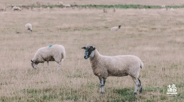 我見過情商最低的行為，就是“不把自己當外人”