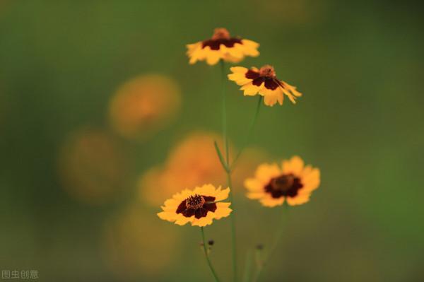 56歲阿姨坦言：退休後看似沒有朋友，對親情也淡漠的人卻活得通透