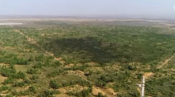 沙漠有救了!胡八一真人版穿越死亡沙海,找到沙漠終極與治沙魔方 沙漠有救了!胡八一真人版穿越死亡沙海,找到沙漠終極與治沙魔方