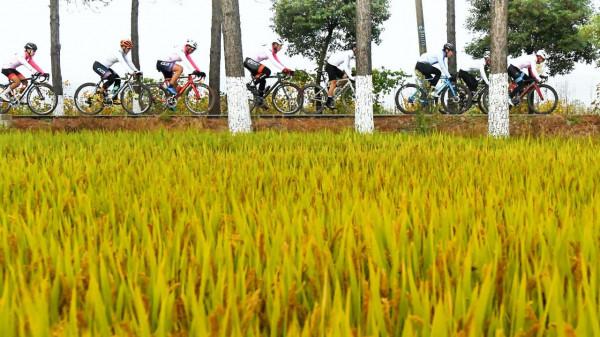 領略上海青浦和長三角美景，這項腳踏車賽讓人過目不忘