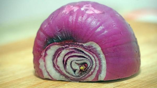 入秋了,推薦7道好吃的家常菜,貼秋膘跟著吃,營養均衡更養人 入秋了,推薦7道好吃的家常菜,貼秋膘跟著吃,營養均衡更養人