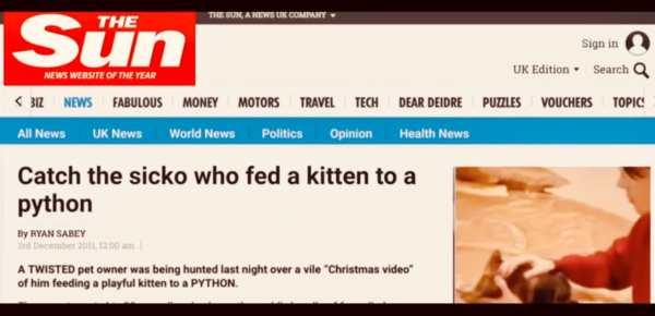 一段虐貓影片牽扯出一件謀殺案,2012年中國留學生加拿大被害始末 一段虐貓影片牽扯出一件謀殺案,2012年中國留學生加拿大被害始末