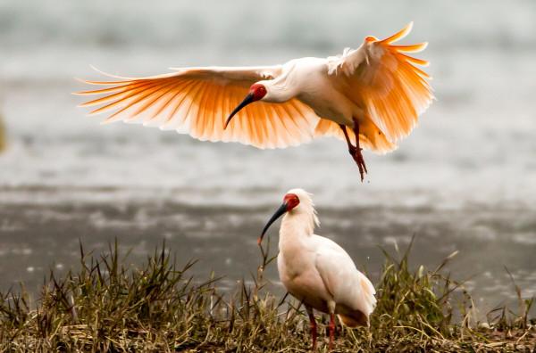 全世界60個國家的珍稀國寶