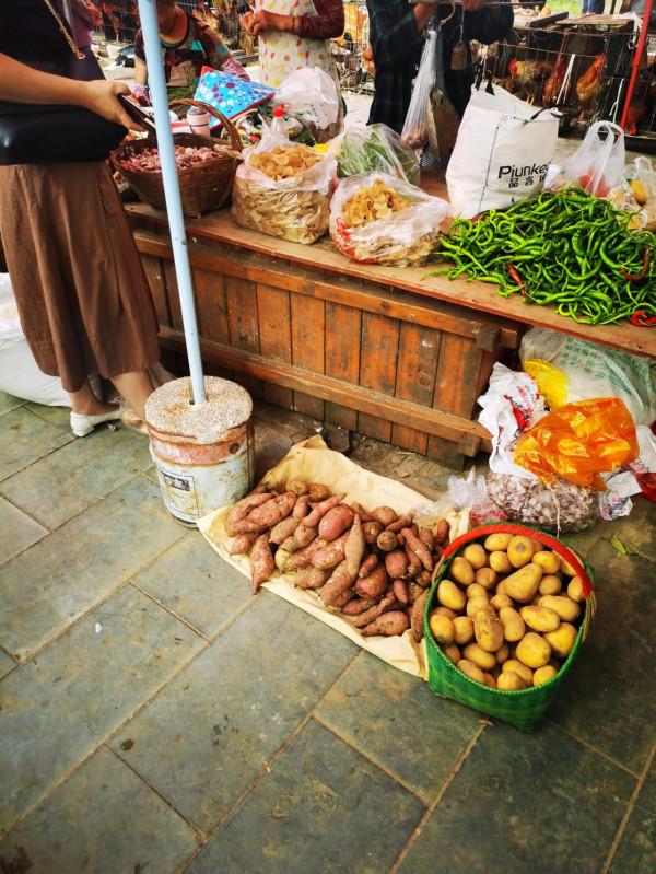 小河灣一遊 小河灣一遊