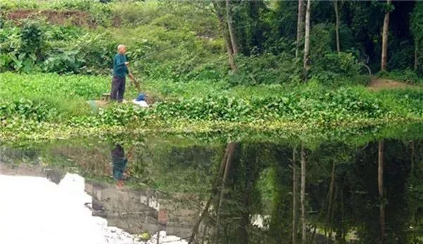 野釣不能錯過的10種絕佳釣位