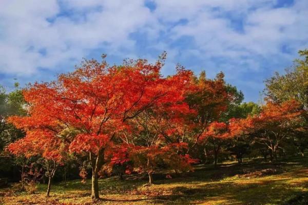 如果給你一次重來的機會,還會網上買床嗎? 如果給你一次重來的機會,還會網上買床嗎?