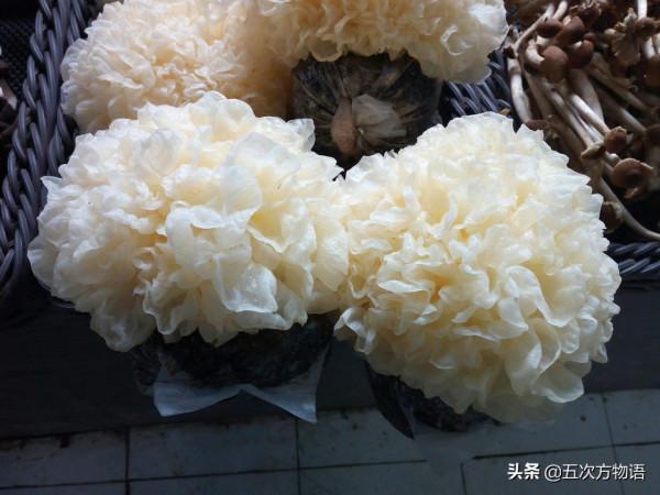 菜市場菌類大彙總