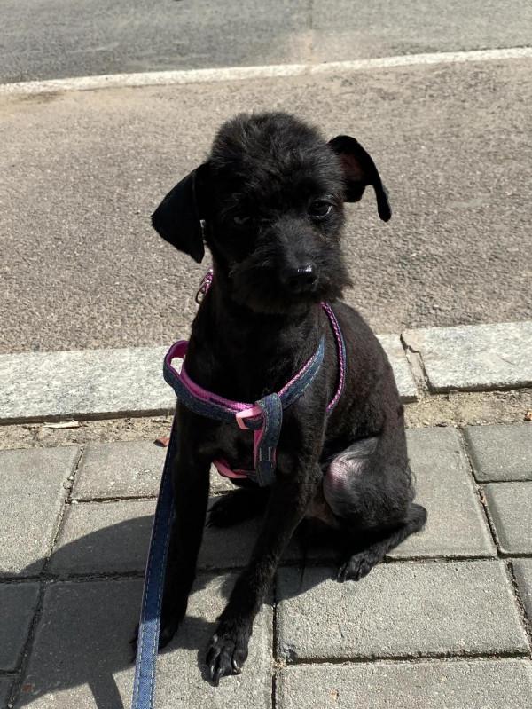 我和緣寶的故事