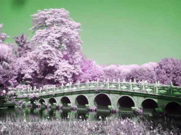 品,秋的味道 品,秋的味道