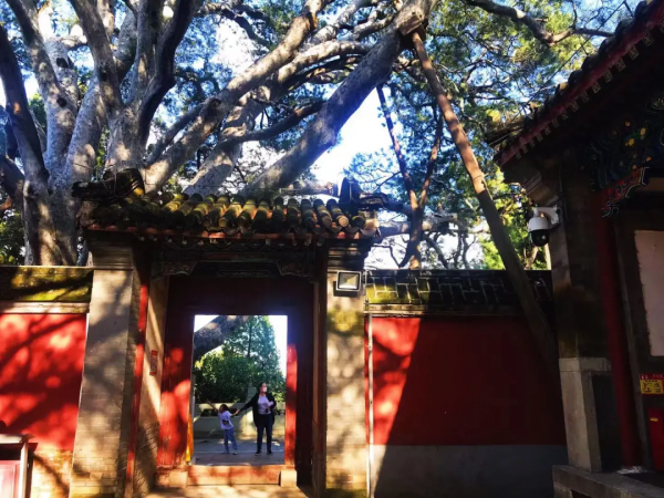 初秋到戒臺寺尋覓禪境，還有佛教最高等級的戒壇可以參觀~