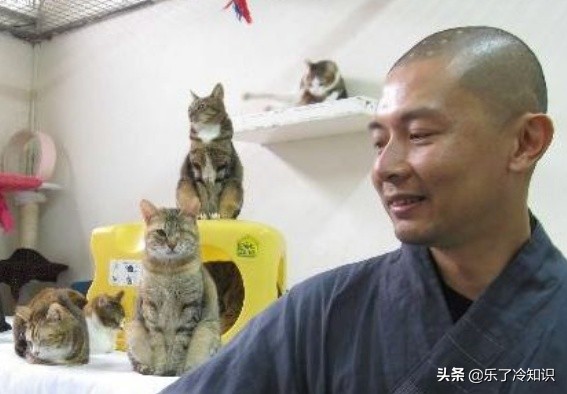 《笑傲江湖》播出25年,四人已去世,任盈盈殘疾林平之遁入空門 《笑傲江湖》播出25年,四人已去世,任盈盈殘疾林平之遁入空門