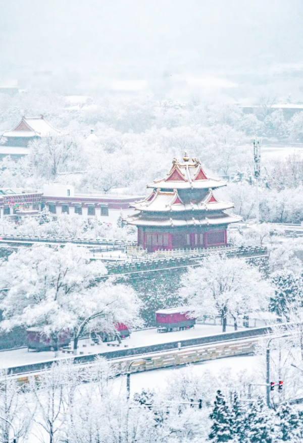 北方初雪美遍全網，國內這10個賞雪最佳城市，此生一定要去一次