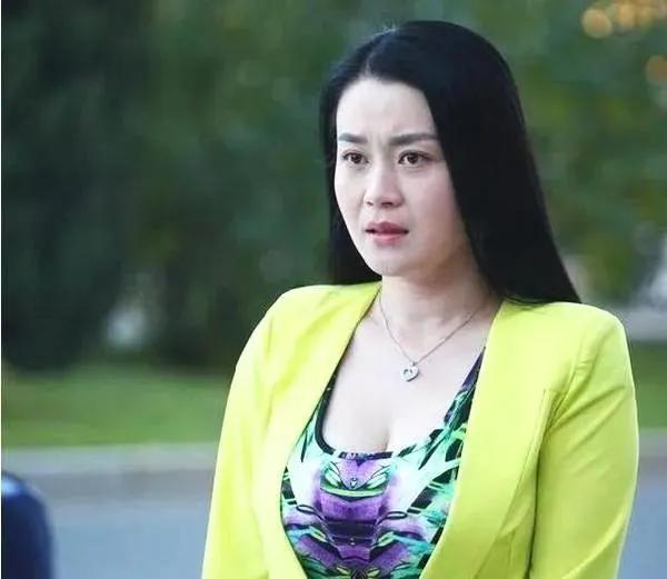 從未拜師趙本山，卻被力捧17年，“楊小燕”關婷娜究竟憑什麼？