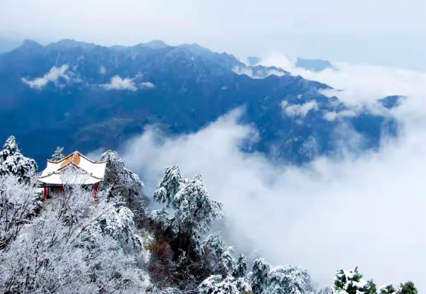 盛世美顏！終南山初雪似仙境