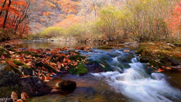 一個女人臨死前的懺悔