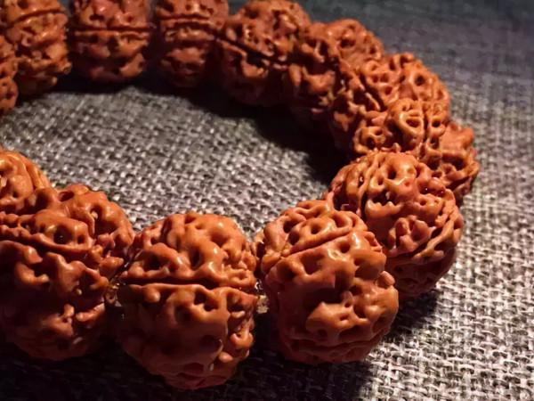 金剛菩提，老手和新手的區別到底在哪？