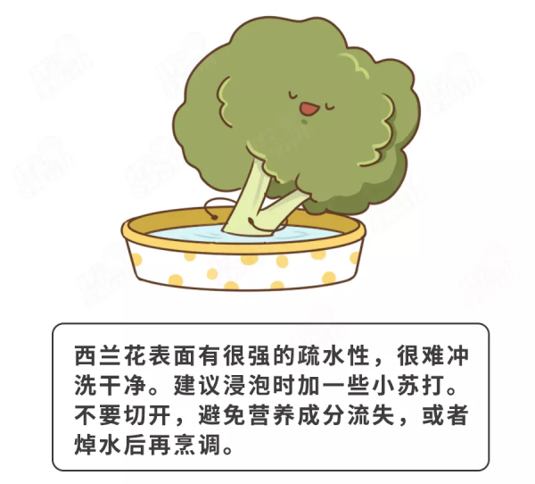 秋季給娃吃啥好?營養師發話了:4種蔬菜+1種肉,必吃 秋季給娃吃啥好?營養師發話了:4種蔬菜+1種肉,必吃