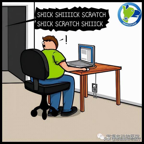 一場喵星人和網路的惡戰