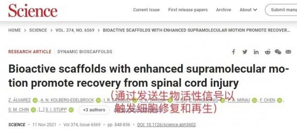 4周恢復行走！西北大學成功扭轉小鼠癱瘓，2年內將進入人體實驗