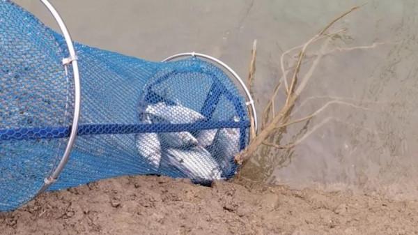 休閒野釣需要哪些漁具，哪些是必備的，哪些是可以省下的