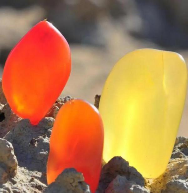 在新疆，有一種生活叫“撿石頭”