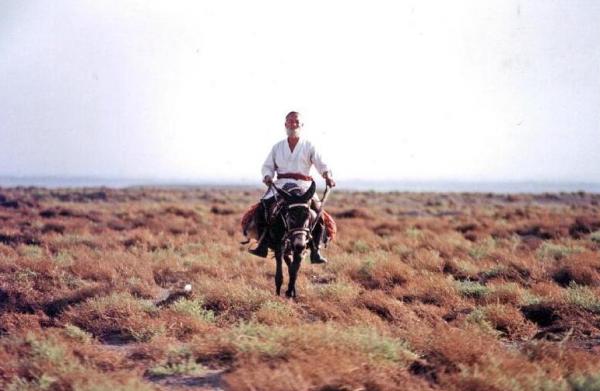 騎毛驢去看毛主席的庫爾班,臨終:後代參軍報國,重孫女完成遺願 騎毛驢去看毛主席的庫爾班,臨終:後代參軍報國,重孫女完成遺願