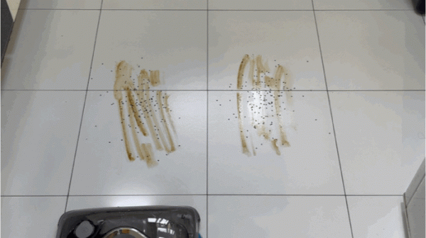 買時“肉疼”,用著“真香”!這4種智慧黑科技家電,幸福感倍增 買時“肉疼”,用著“真香”!這4種智慧黑科技家電,幸福感倍增