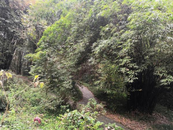 手機從瀏覽器下載一定要注意 手機從瀏覽器下載一定要注意