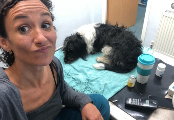 女主人養了一隻沒眼睛的狐狸，一隻沒腿總“翻車”的狗子，網友們：太可愛了吧