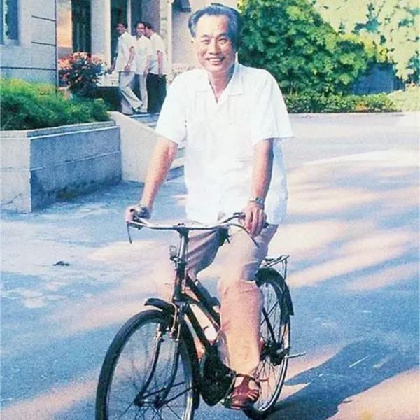 1985年誰接替廣東省委書記任仲夷？王光美評價很高的清官林若接任