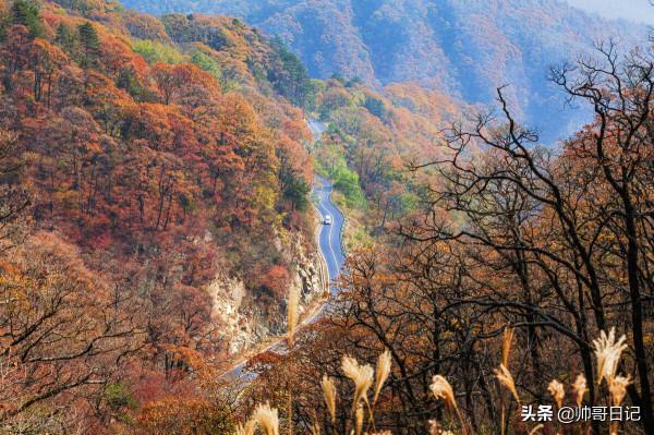 有一種秋天叫做馬鬃嶺
