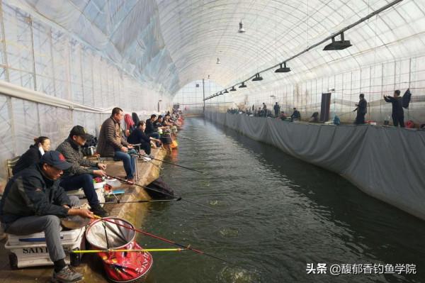 黑坑大棚越來越高階，為了改善魚口，各種方法都用上了