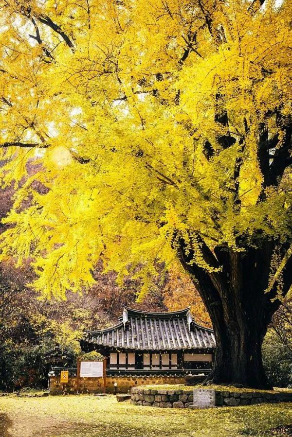 讀書報告|2021年11月,我讀過的3本好書,分享給你 讀書報告|2021年11月,我讀過的3本好書,分享給你