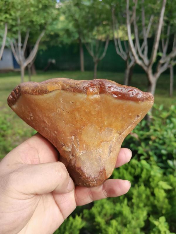 張大銀奇石撿漏記 張大銀奇石撿漏記