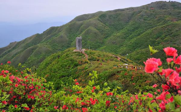 雲南又一景區走紅，年平均氣溫在16度，距大理8小時車程