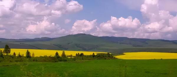 中國為何要搞智慧農業：不僅解決糧食問題，更是解決競爭力問題