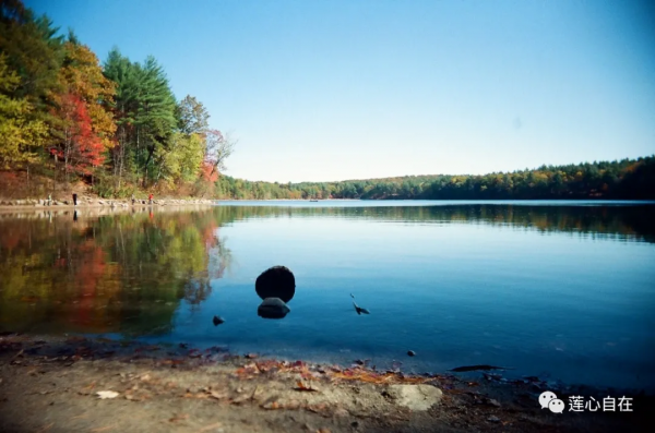 蓮心書香15：創始、避世與處世——讀《瓦爾登湖》有感