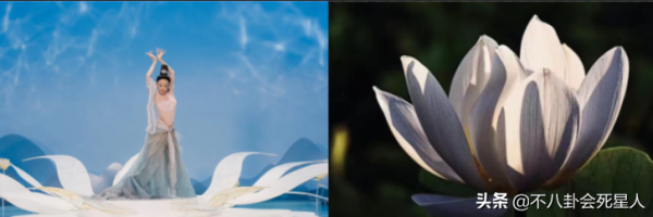 元宵晚會最有深度的舞蹈，深度解讀《夢蓮》舞姿靈感背後佛學含義